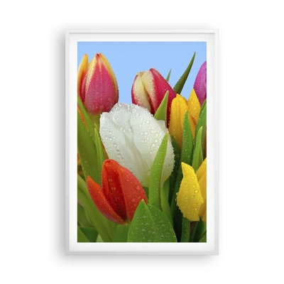Affiche dans un cadre blanc Arttor 61x91 cm - Un arc-en-ciel fleuri en gouttes de rosée - Tulipes, Fleurs, Bouquet De Fleurs, La Nature, Fleurs Colorées, Pour le salon, Pour la chambre, Blanc, Bleu, Vertical, P2WPA61x91-2526