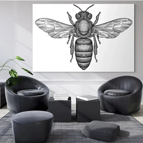 Image sur verre Arttor 70x50 cm - Portrait d'insecte - Abeille, Insecte, Minimaliste, Blanc, Noir, Sport et hobbys, Verre, GAA70x50-5462