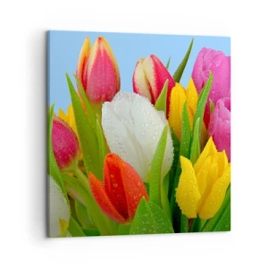Impression sur toile - Image sur toile - Un arc-en-ciel fleuri en gouttes de rosée - 50x50 cm