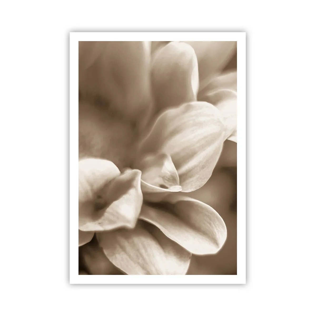 Affiche - Poster - Doux comme un sourire - 70x100 cm