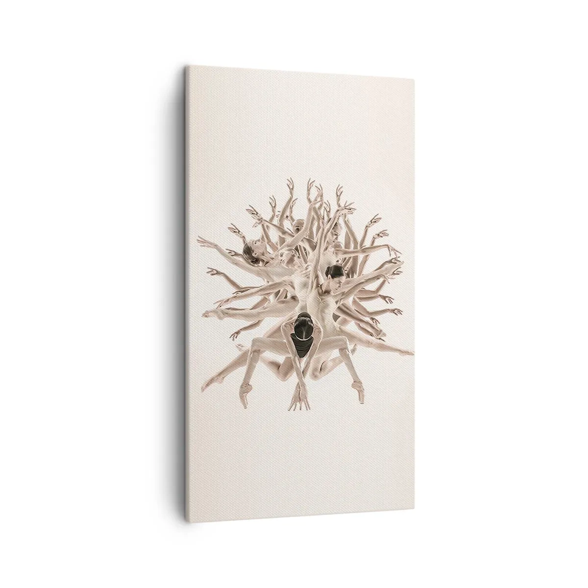 Impression sur toile - Image sur toile - S'épanouir en danse - 45x80 cm