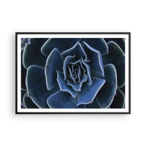 Affiche dans un cadre noir - Poster - Gros plan d'une rosette succulente verte - 100x70cm - Fleur du désert - Décoration murale moderne pour le salon et la chambre ARTTOR