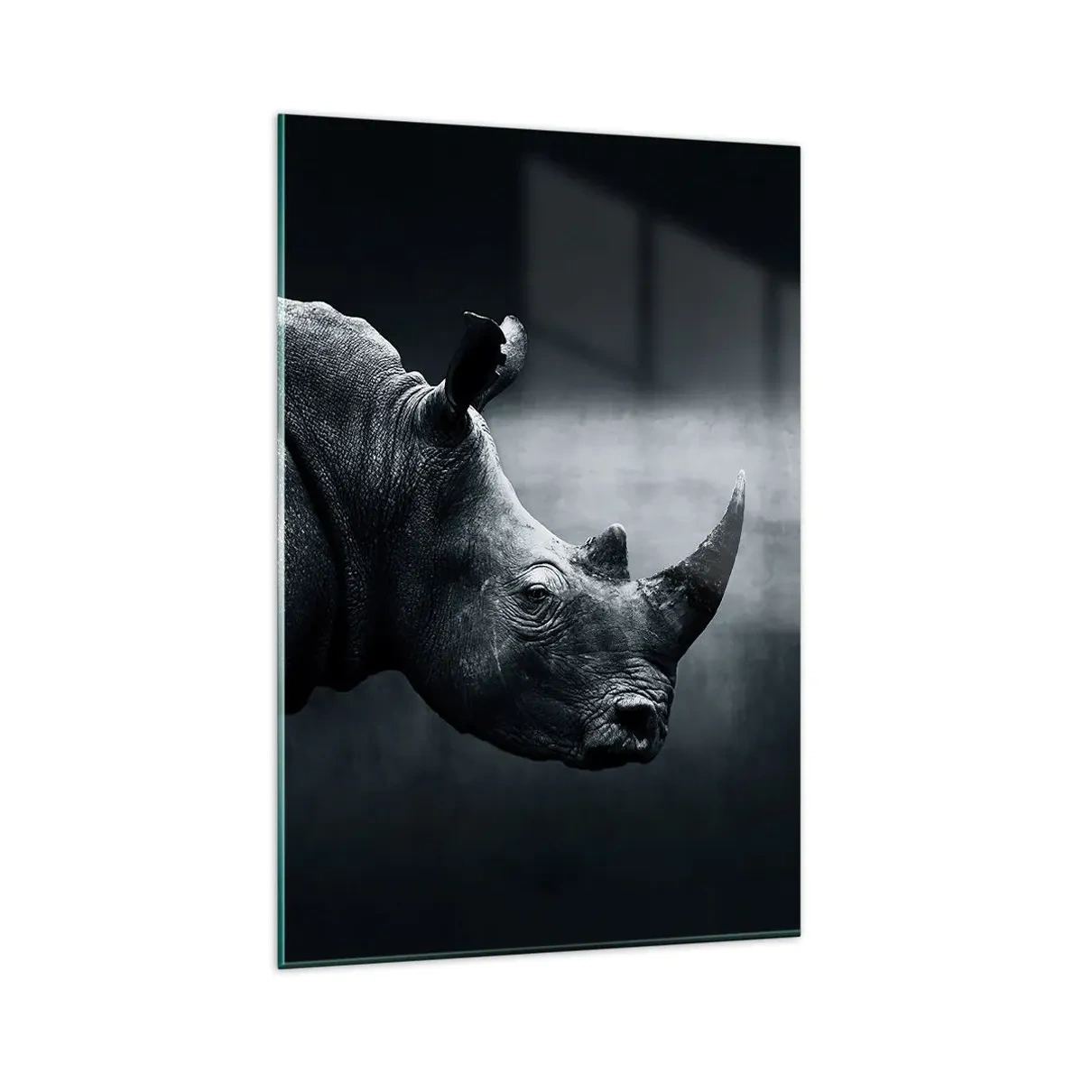 Impression sur verre - Image sur verre - Portrait noir et blanc d'un rhinocéros sur fond sombre - 80x120cm - Le profil droit - Décoration murale moderne pour le salon et la chambre ARTTOR