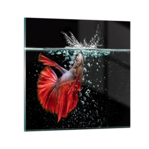 Impression sur verre - Image sur verre - Vous avez trois vœux - 70x70 cm