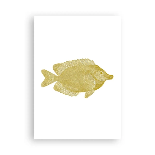 Affiche - Poster - Du poisson et c'est tout - 70x100 cm