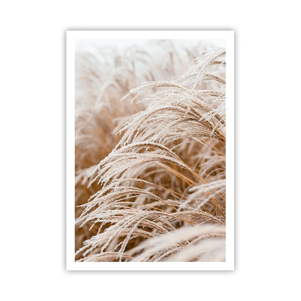 Affiche - Poster - Prosternez-vous devant le soleil d'automne - 70x100 cm