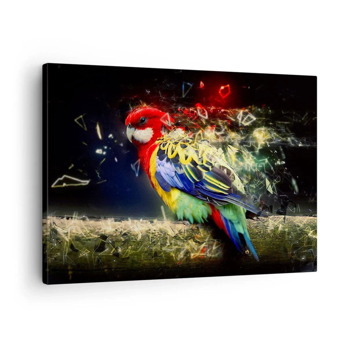 Impression sur toile - Image sur toile - Un perroquet aux couleurs vives sur un fond d'effets de lumière - 70x50cm - Messager d'éclat - Décoration murale moderne pour le salon et la chambre ARTTOR