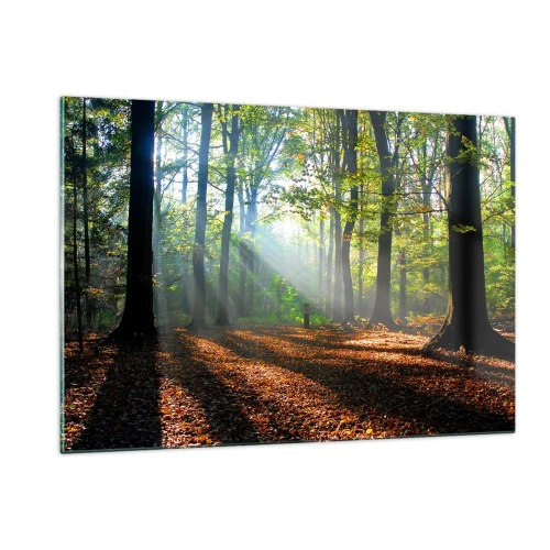 Impression sur verre - Image sur verre - Une forêt sous les rayons du soleil dans un paysage d'automne - 120x80cm - Ombres et lumières - Décoration murale moderne pour le salon et la chambre ARTTOR