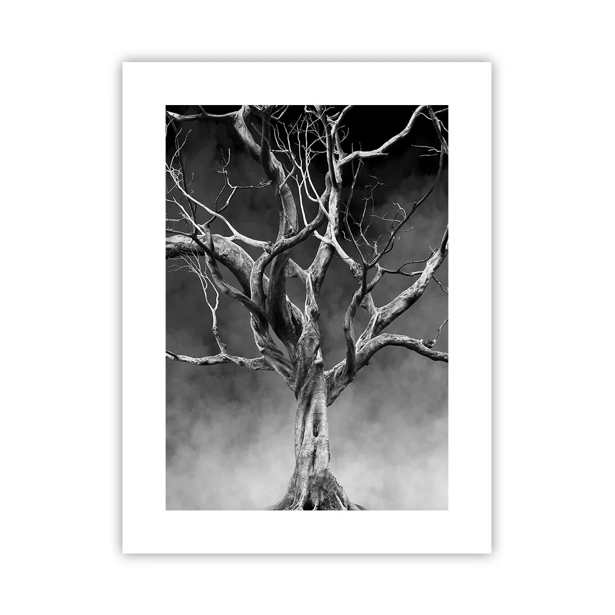 Affiche - Poster - Primordial et sacré - 30x40 cm