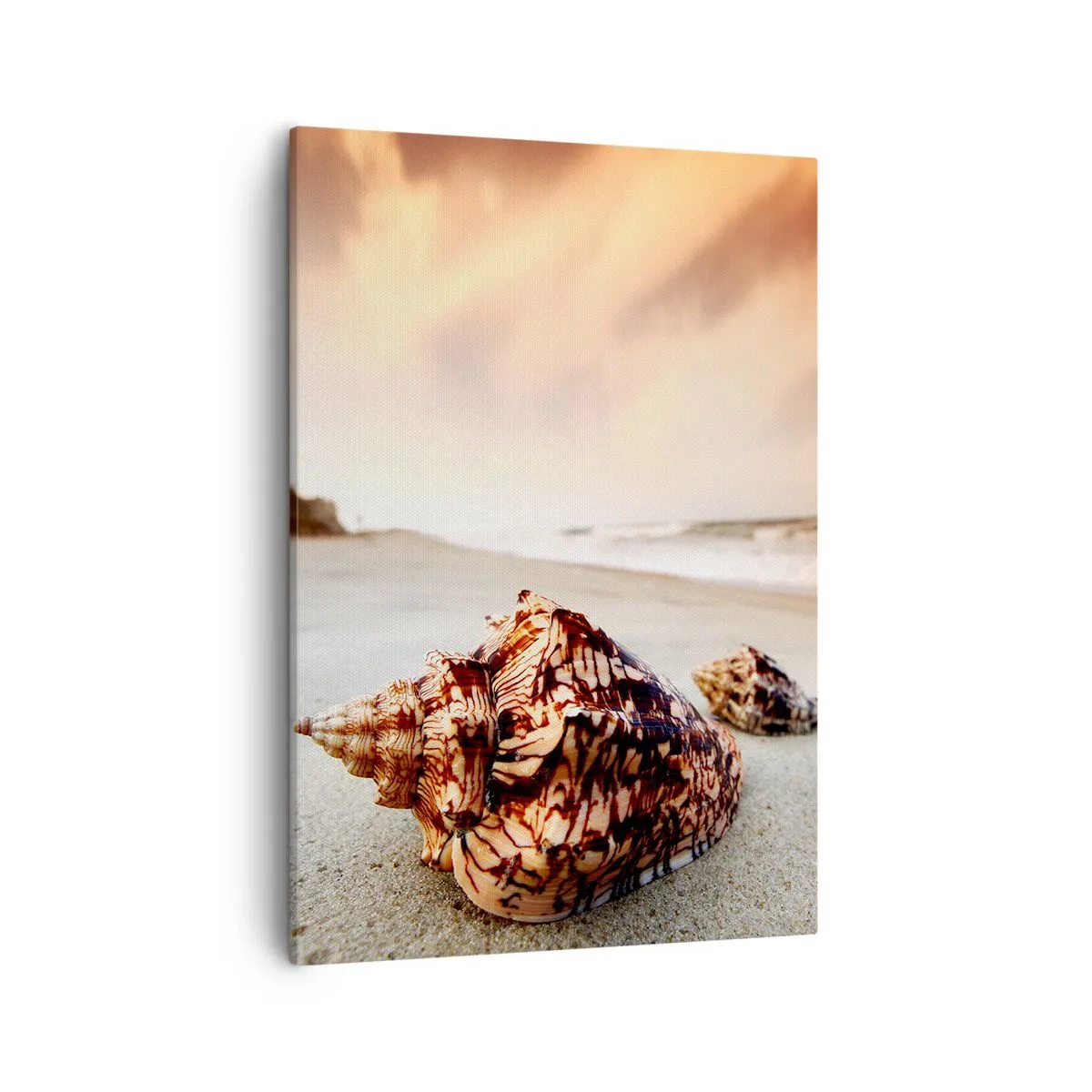 Impression sur toile - Image sur toile - Coquillages sur la plage au coucher du soleil - 50x70cm - Les parias des vagues - Décoration murale moderne pour le salon et la chambre ARTTOR