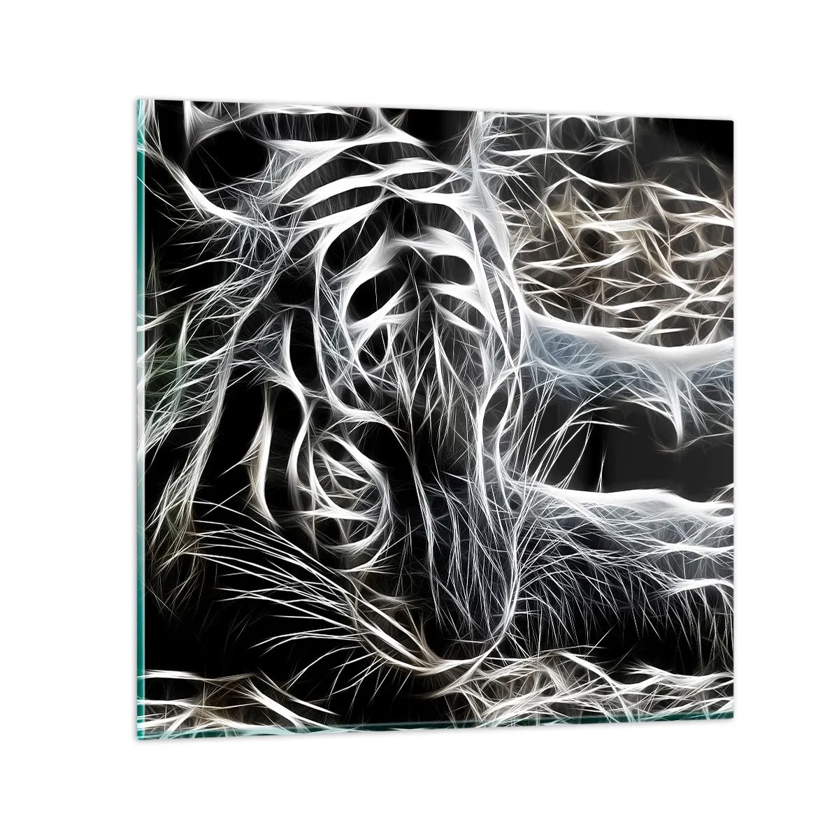 Impression sur verre - Image sur verre - Une étude de la légèreté du chat - 40x40 cm