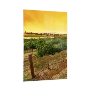 Impression sur verre - Image sur verre - Vignes dans une plantation au coucher du soleil doré - 80x120cm - S'abreuver du soleil - Décoration murale moderne pour le salon et la chambre ARTTOR