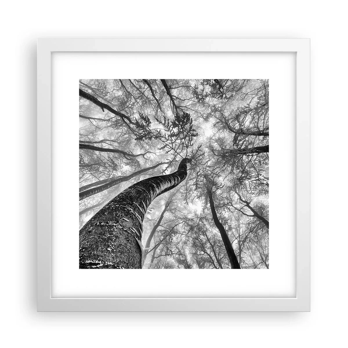 Affiche dans un cadre blanc - Poster - Course vers la lumière - 30x30 cm