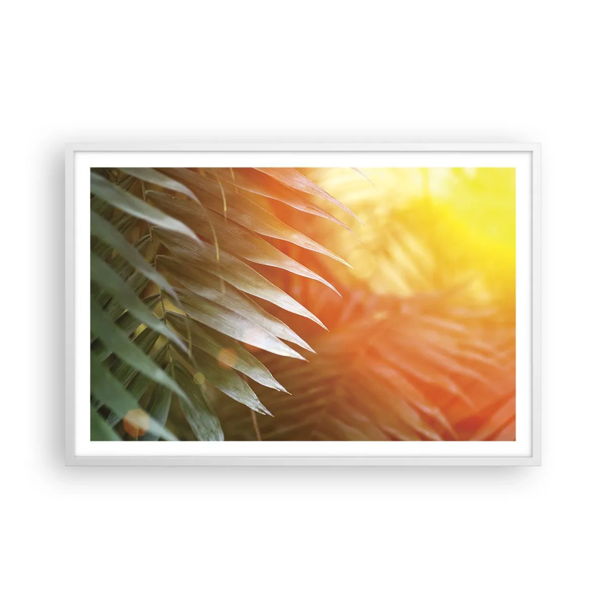 Affiche dans un cadre blanc - Poster - Matinée dans la jungle - 91x61 cm