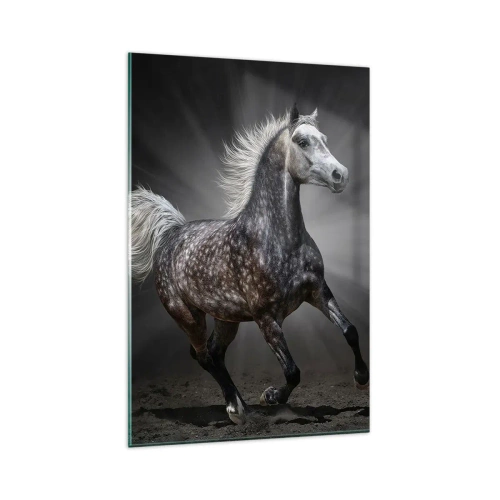 Impression sur verre - Image sur verre - Un cheval blanc galopant sur un fond sombre - 80x120cm - Le gris est beau - Décoration murale moderne pour le salon et la chambre ARTTOR