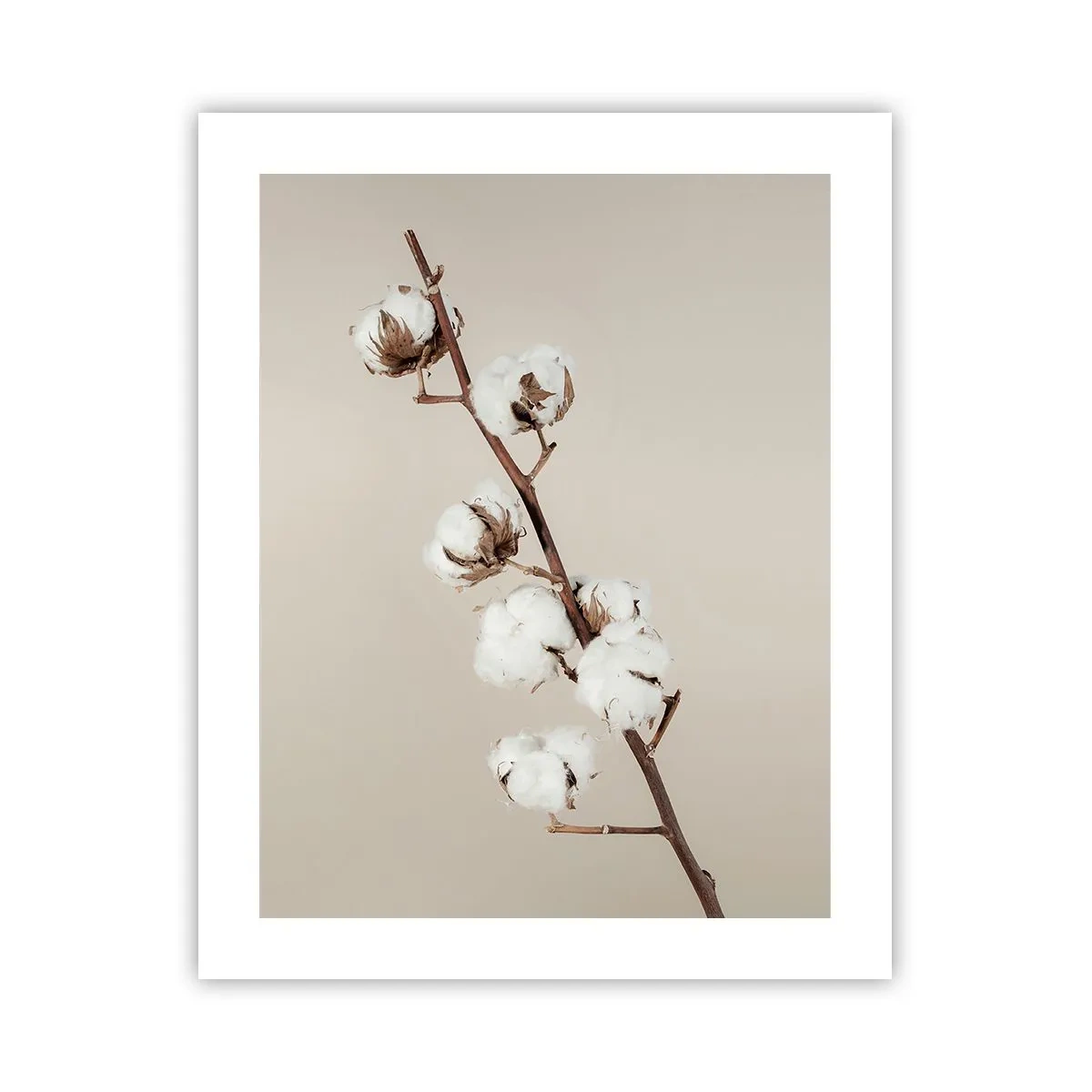 Affiche - Poster - A la source de la douceur - 40x50 cm