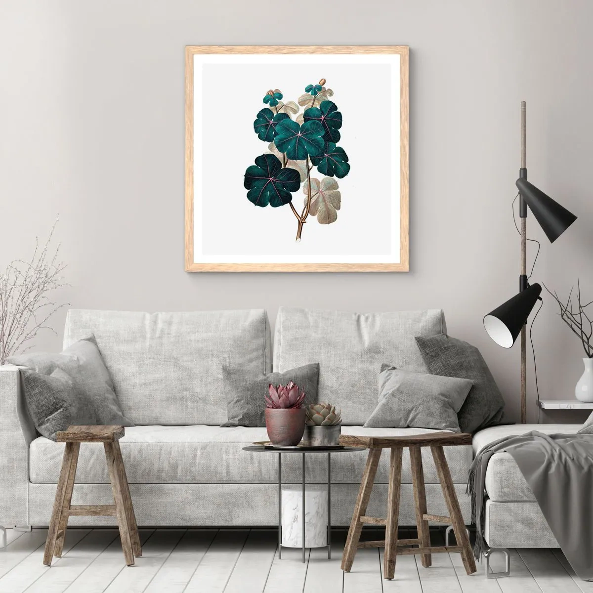 Affiche dans un chêne clair - Poster - De l'ancien herbier - 60x60 cm