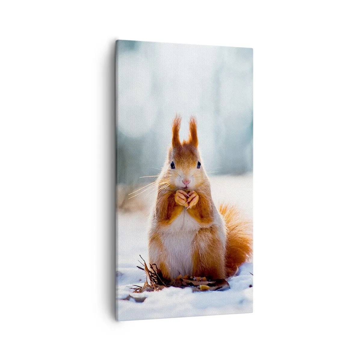 Impression sur toile - Image sur toile - Qu'est ce que tu regardes comme ça? - 55x100 cm