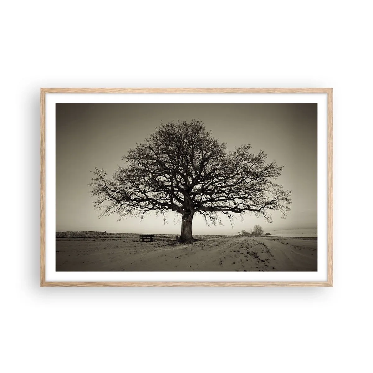 Affiche dans un chêne clair - Poster - D'ici à l'éternité - 91x61 cm