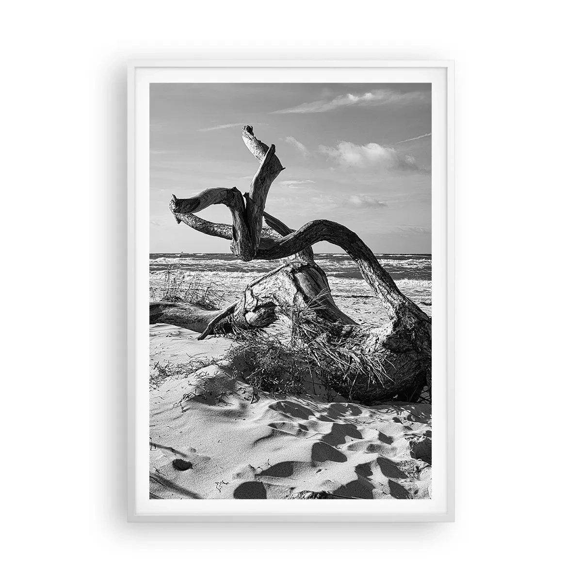 Affiche dans un cadre blanc - Poster - Sculpture marine - 70x100 cm