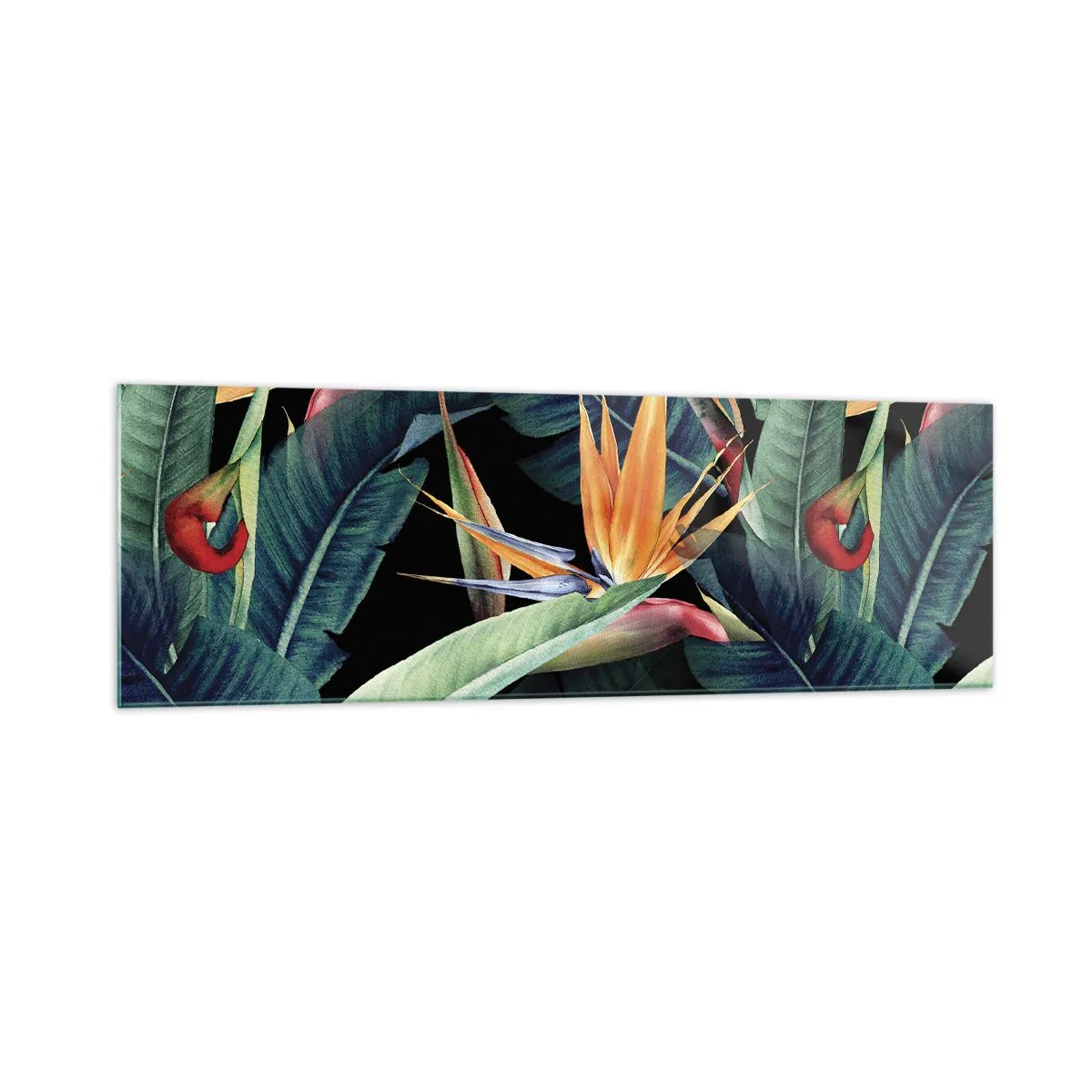 Impression sur verre - Image sur verre - Fleurs et feuilles tropicales sur fond noir - 160x50cm - Fleurs flamboyantes des tropiques - Décoration murale moderne pour le salon et la chambre ARTTOR