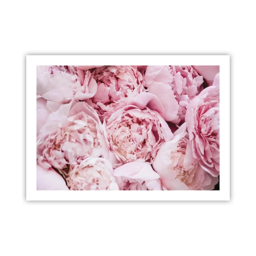 Affiche - Poster - Caliné et parfumé - 70x50 cm