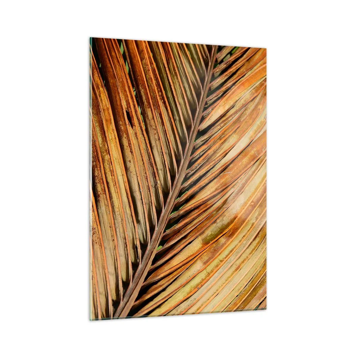 Impression sur verre - Image sur verre - Gros plan de feuilles de palmier sèches et dorées - 50x70cm - Or de noix de coco - Décoration murale moderne pour le salon et la chambre ARTTOR