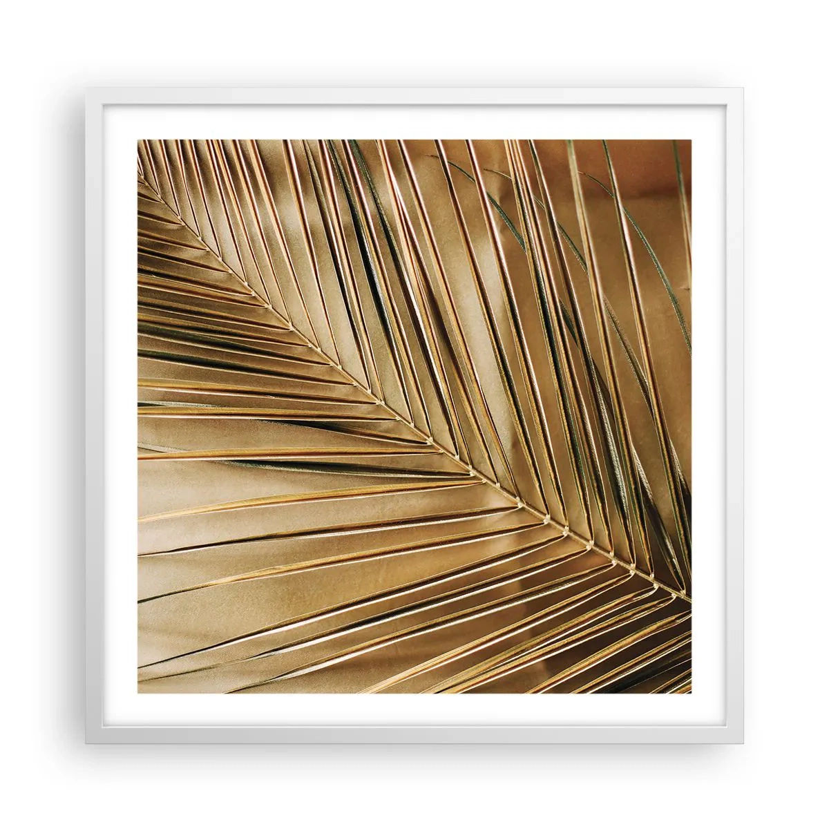 Affiche dans un cadre blanc - Poster - Colonnade naturelle - 60x60 cm