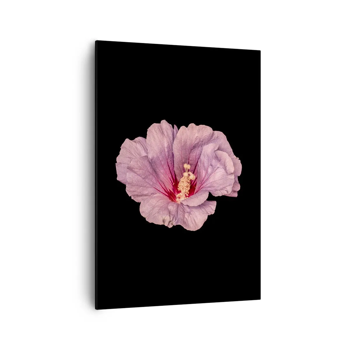 Impression sur toile - Image sur toile - Fleur rose sur fond noir - 70x100cm - Directement au coeur - Décoration murale moderne pour le salon et la chambre ARTTOR