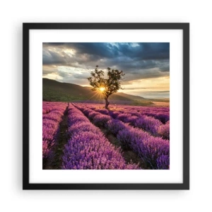 Affiche dans un cadre noir - Poster - Arôme de couleur lilas - 40x40 cm