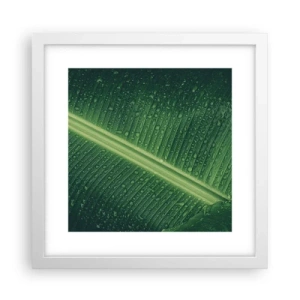 Affiche dans un cadre blanc - Poster - Structure de vert - 30x30 cm