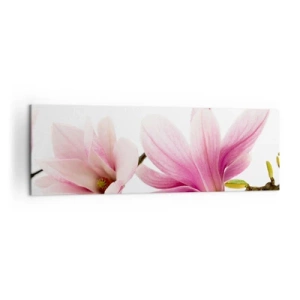 Impression sur toile - Image sur toile - Magnolias roses délicats sur fond blanc - 160x50cm - Délicat comme une brise de printemps - Décoration murale moderne pour le salon et la chambre ARTTOR