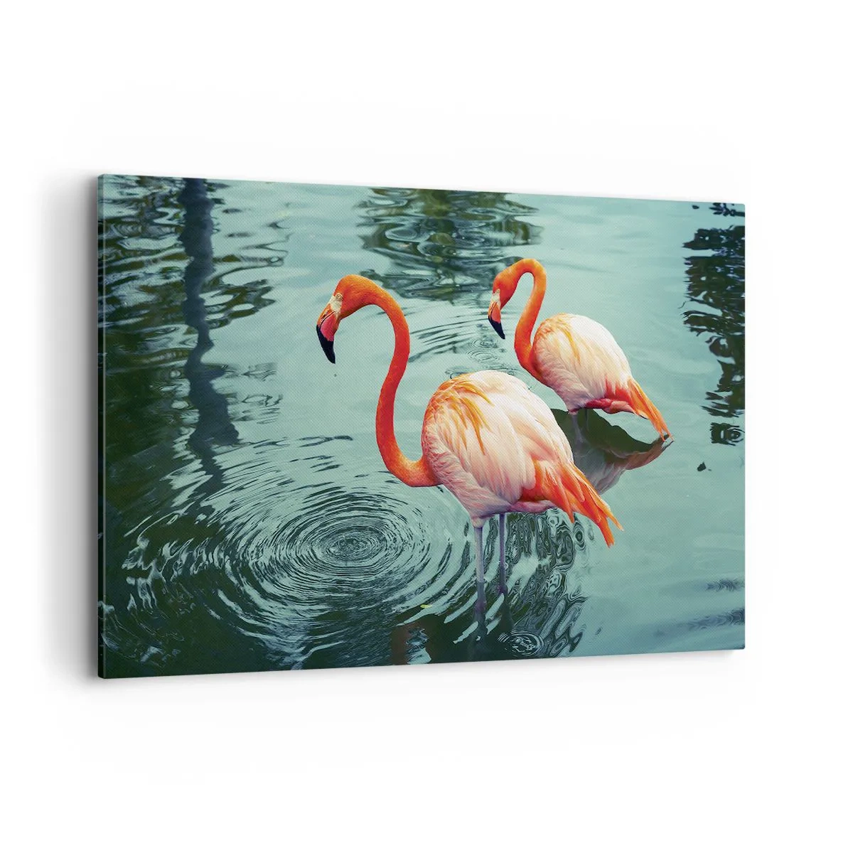Impression sur toile - Image sur toile - Deux flamants roses dans l'eau calme reflétant leur environnement - 120x80cm - Nous sommes à la mode maintenant - Décoration murale moderne pour le salon et la chambre ARTTOR