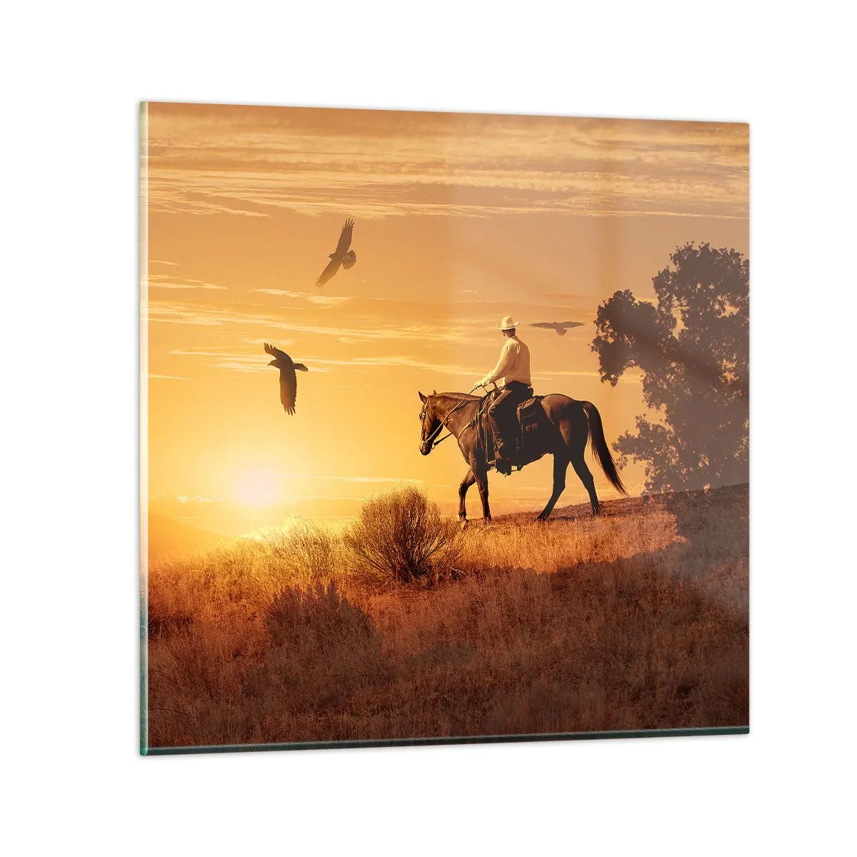 Impression sur verre - Image sur verre - Seul à travers la prairie - 70x70 cm