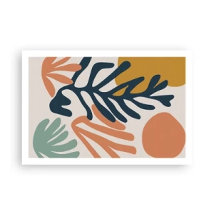 Affiche - Poster - Mers de corail - 91x61 cm