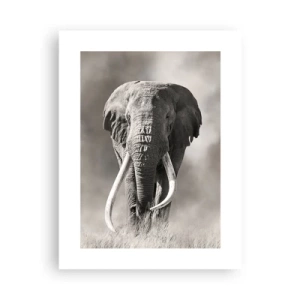 Affiche - Poster - Patriarche africain - 30x40 cm