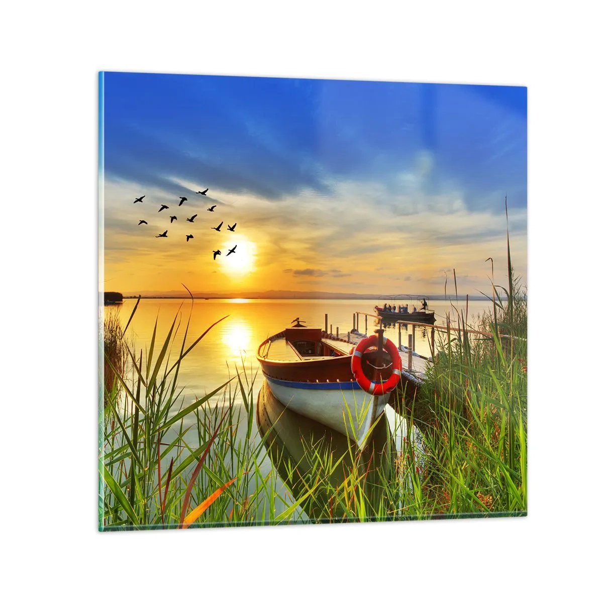 Impression sur verre - Image sur verre - Les cormorans s'envolent déjà - 40x40 cm