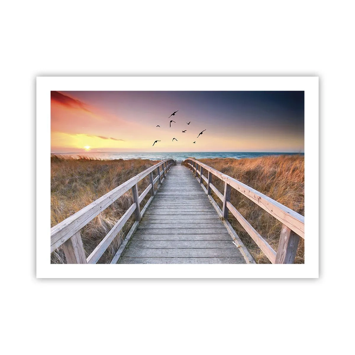 Affiche - Poster - Envol des espaces - 70x50 cm