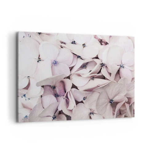 Impression sur toile - Image sur toile - Hortensias blancs délicats aux tons pastel - 100x70cm - Dans un flot de fleurs - Décoration murale moderne pour le salon et la chambre ARTTOR
