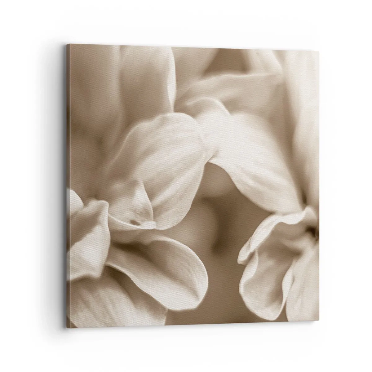 Impression sur toile - Image sur toile - Doux comme un sourire - 70x70 cm