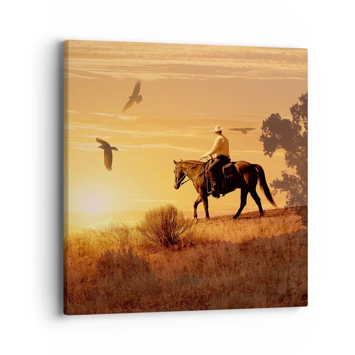 Impression sur toile - Image sur toile - Seul à travers la prairie - 40x40 cm