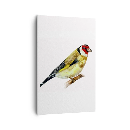 Impression sur toile - Image sur toile - Un oiseau à tête rouge sur une branche - 80x120cm - Portrait d'oiseau - Décoration murale moderne pour le salon et la chambre ARTTOR