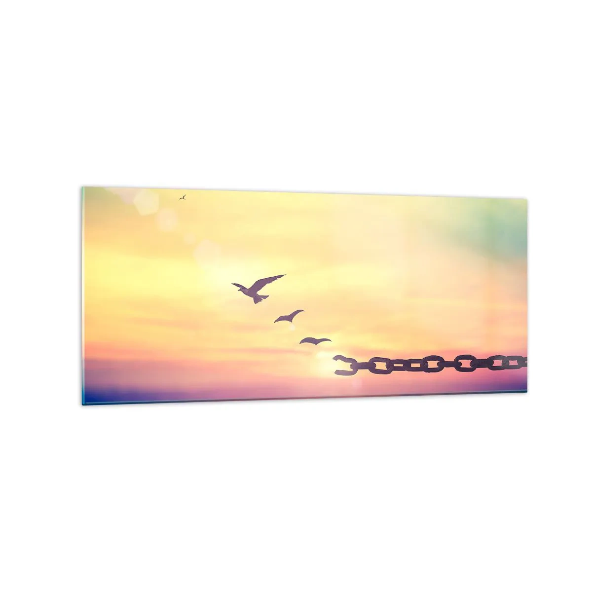 Impression sur verre - Image sur verre - Symbole de liberté avec des oiseaux et une chaîne brisée - 120x50cm - La victoire de la liberté - Décoration murale moderne pour le salon et la chambre ARTTOR