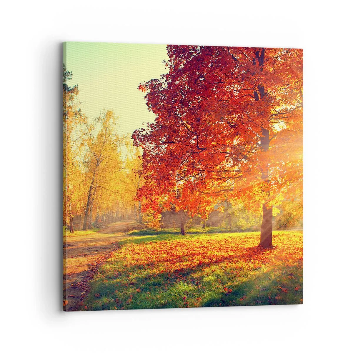Impression sur toile - Image sur toile - Le roux est beau - 70x70 cm