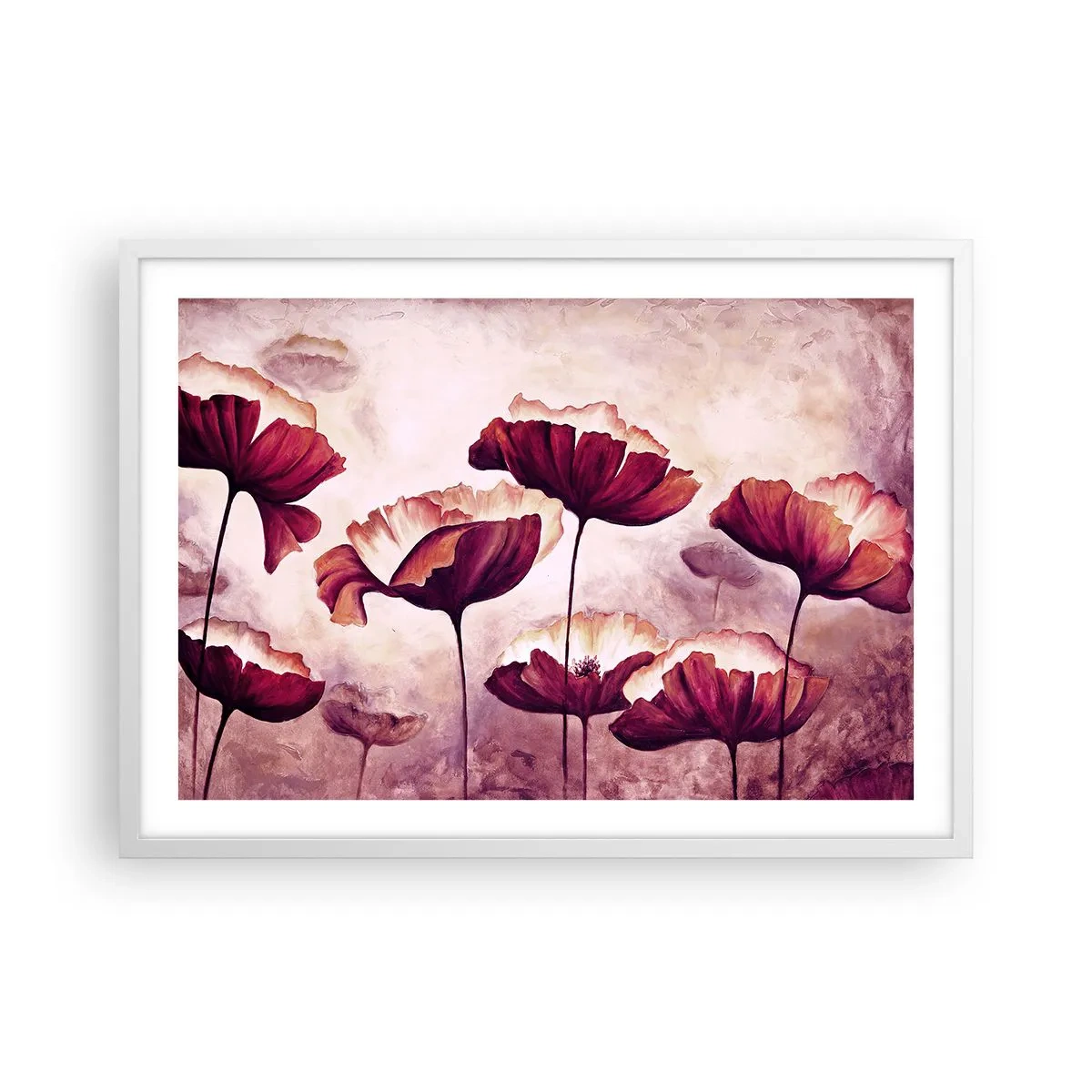 Affiche dans un cadre blanc - Poster - Pétale rouge et blanc - 70x50 cm