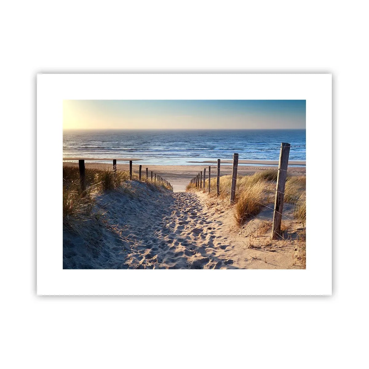 Affiche - Poster - Le bruit de la mer, le chant des oiseaux, une plage sauvage parmi les herbes… - 40x30 cm