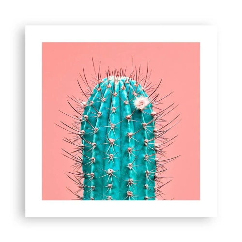 Affiche - Poster - Juste regarde - 40x40 cm