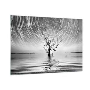 Impression sur verre - Image sur verre - Paysage noir et blanc avec un arbre et des traînées d'étoiles - 100x70cm - La symphonie de la nature - Décoration murale moderne pour le salon et la chambre ARTTOR