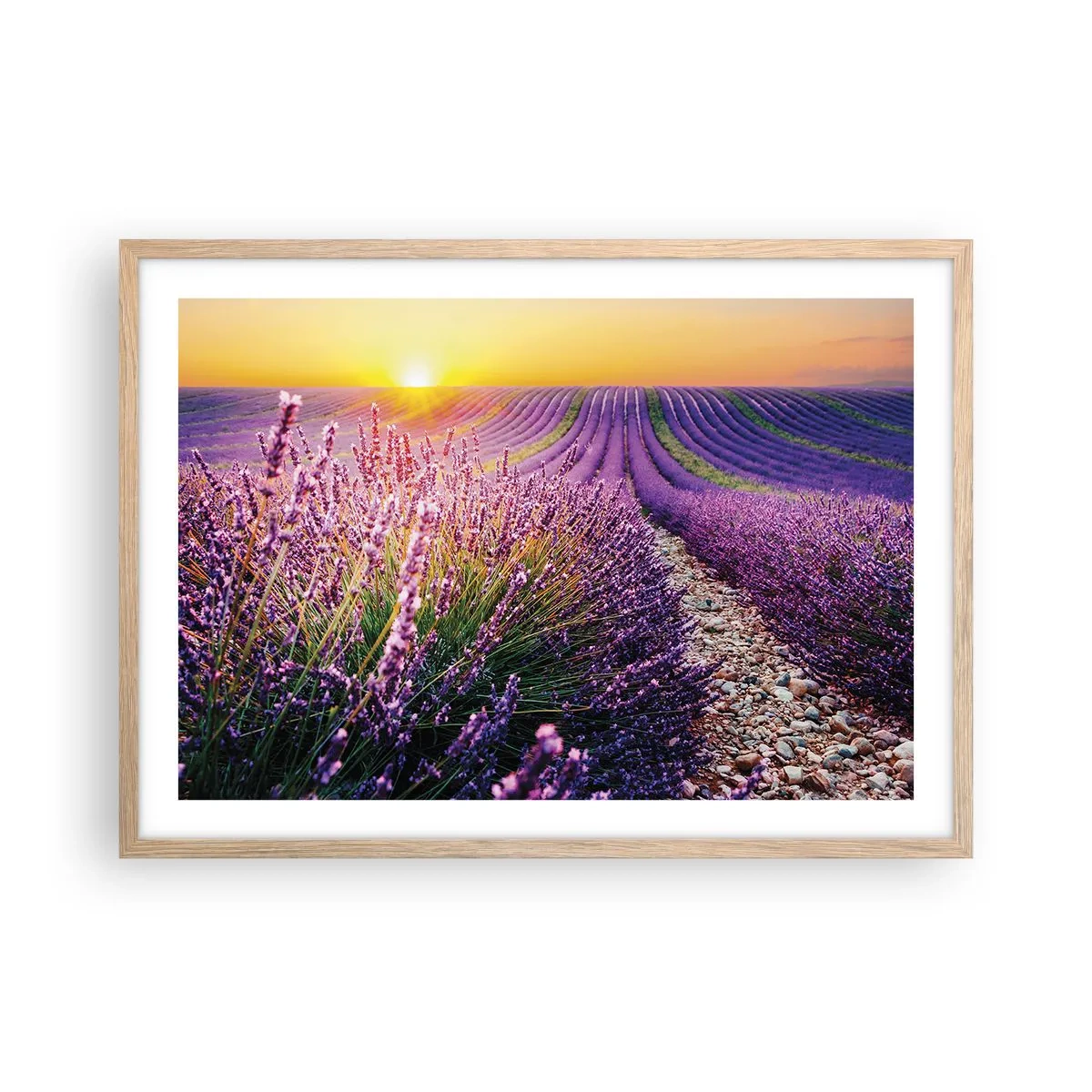 Affiche dans un chêne clair - Poster - Tige parfumée - 70x50 cm