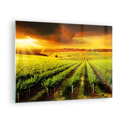 Impression sur verre - Image sur verre - Vignoble à la lumière du soleil couchant - 70x50cm - Sous le soleil australien - Décoration murale moderne pour le salon et la chambre ARTTOR